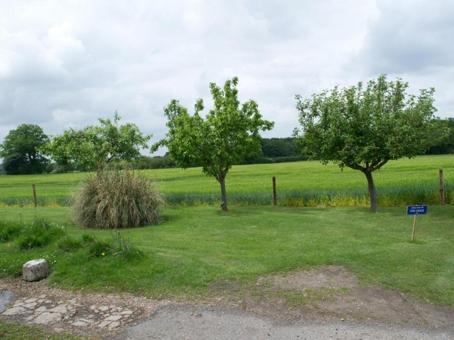 Woodview B Colchester Birch Экстерьер фото